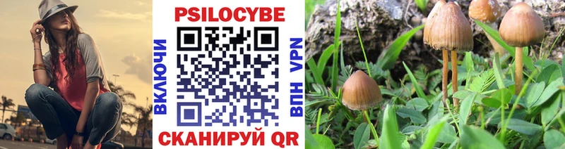 цены   Павловский Посад  Псилоцибиновые грибы Cubensis 